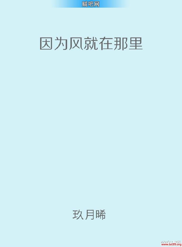 《因为风就在那里》txt全集