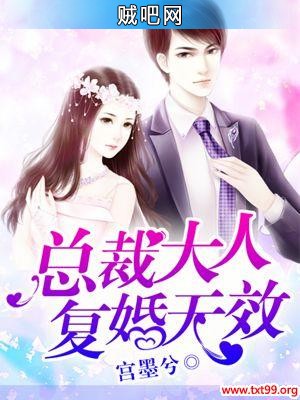 《总裁大人复婚无效》txt全集