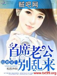 《隐婚豪门：首席老公别乱来》txt全集