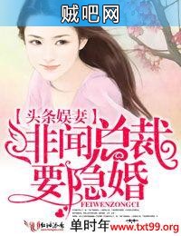 《头条娱妻，绯闻总裁要隐婚》txt全集