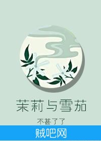 《茉莉与雪茄》txt全集