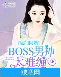 《豪门闪婚：BOSS男神太难缠》txt全集