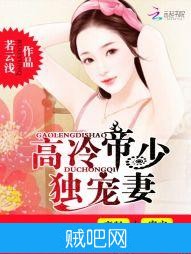 《闪婚霸爱：高冷帝少独宠妻》txt全集