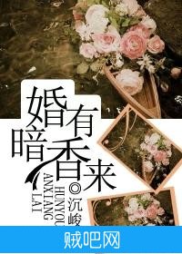 《婚有暗香来》txt全集