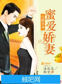 《洁癖男神蜜爱娇妻》txt全集