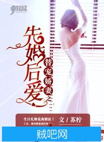 《替宠娇妻之先婚后爱》txt全集