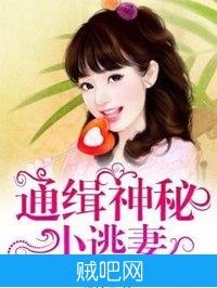 《通缉神秘小逃妻》txt全集