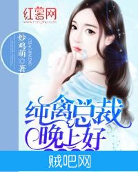 《深情索吻：纯禽总裁晚上好》txt全集