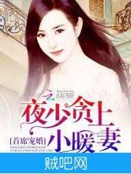 《首席宠婚：夜少贪上小暖妻》txt全集