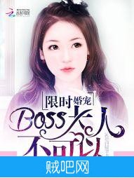 《限时婚宠：BOSS大人，不可以》txt全集