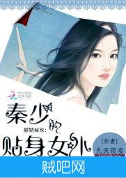 《甜婚秘宠：秦少的贴身女仆》txt全集