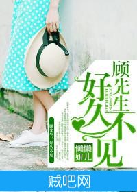 《顾先生，好久不见》txt全集