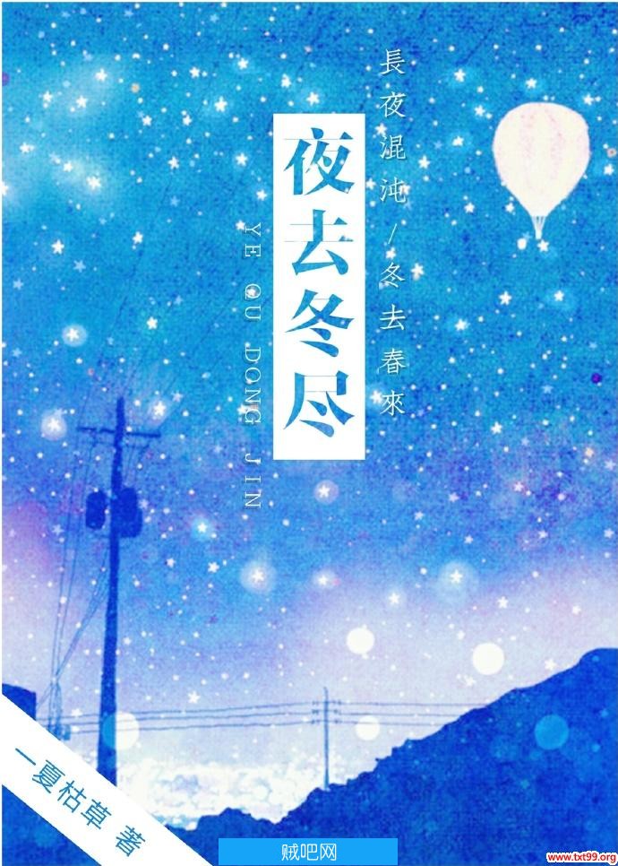 《夜去冬尽》txt全集