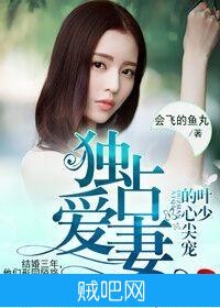 《独占爱妻，叶少的心尖宠》txt全集