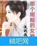 《那个刷脸的女神》txt全集