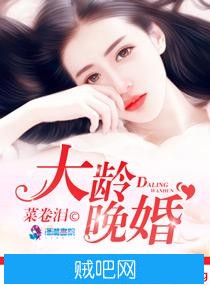 《大龄晚婚》txt全集