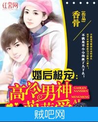 《婚后极宠：高冷男神萌萌爱》txt全集