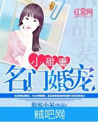 《名门婚宠小甜妻》txt全集