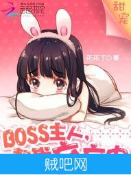 《BOSS主人，帮我充充电》txt全集