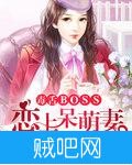 《毒舌BOSS恋上呆萌妻》txt全集