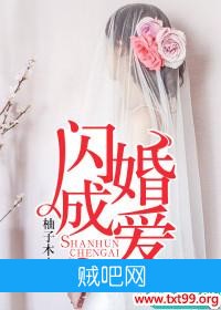 《闪婚成爱》txt全集