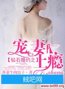 《钻石婚约之宠妻上瘾》txt全集