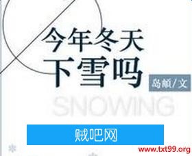 《今年冬天下雪吗》txt全集