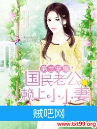 《盛世宠婚：国民老公赖上小小妻》txt全集