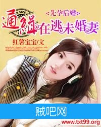 《先孕后婚：通缉在逃未婚妻》txt全集