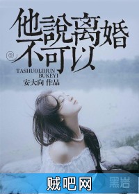 《他说离婚不可以》txt全集