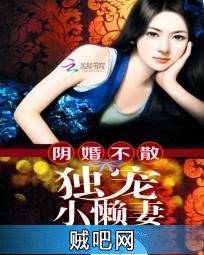 《阴婚不散：独宠小懒妻》txt全集