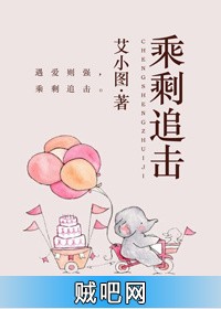 《乘剩追击》txt全集