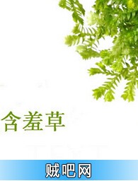 《含羞草》txt全集