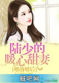 《婚前婚后，陆少的暖心甜妻》txt全集