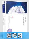 《星星上的花》txt全集