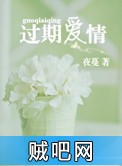 《过期爱情》txt全集