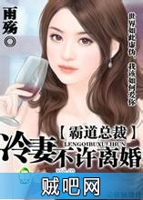 《一胎双胞老婆太给力》txt全集