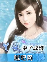 《奉子成婚：丫头，休想逃》txt全集