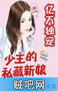 《亿万独宠：少主的私藏新娘》txt全集