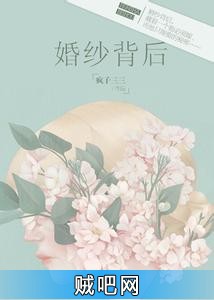 《婚纱背后》txt全集