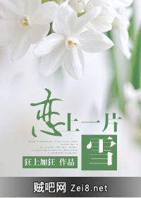 《恋上一片雪》txt全集