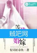 《等君许我婚嫁》全集