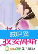 《隐婚萌妻，老公我要离婚！》全集