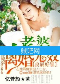 《老婆，离婚无效！》全集