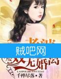 《婚后相爱：老婆，离婚无效》全集