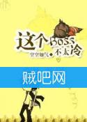 《这个Boss不太冷》全集