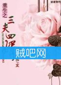 《现代之三夫四婿》全集