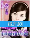 《先婚后爱之前妻难再娶》全集