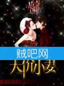 《婚后霸宠之天价小妻》全集