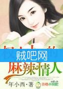 《权少大人的麻辣情人》全集